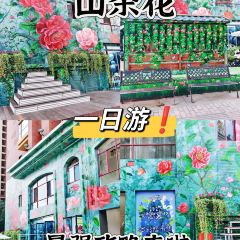 山茶花农家院 User Photo