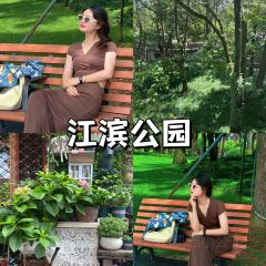 冬芳蛋饼 User Photo