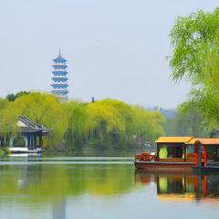 NI HON RYOU RI User Photo