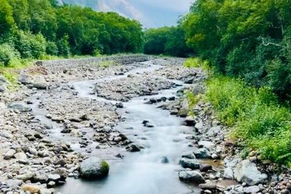 Songfujiachaozufengwei