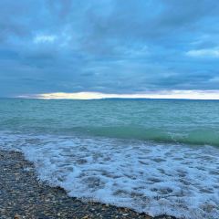 阿勒泰的角落(旅行书吧) User Photo