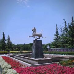 清真·胡家包子(七里河店) User Photo