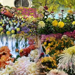 AN TAI SHE QU SHI TANG User Photo