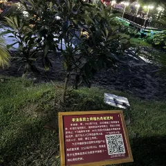 Azimaiti Baked Lamb Bun Restaurant User Photo