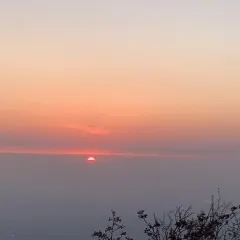 偏愛炒雞店(淘你歡店)張用戶圖片