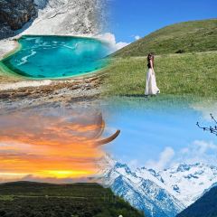 MALAYA TIBETAN RESTAURANT User Photo