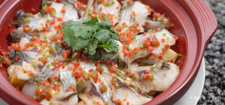 BAI YUN