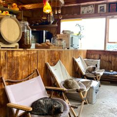 山野Bistro （下雨崩店）張用戶圖片