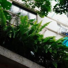 DayDreaming by Monos User Photo