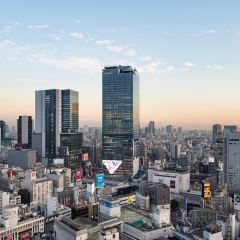 José Luis Shibuya Scramble Square張用戶圖片