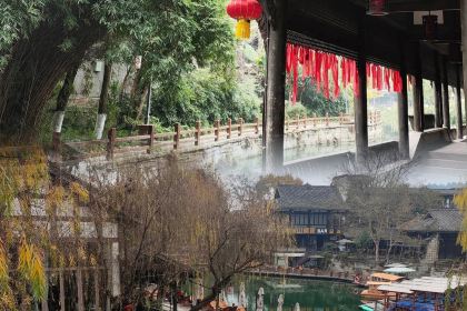 Huanglongxiyigen Noodles