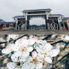 老梨园农庄 여행 사진