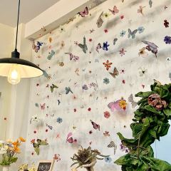 PU TIAN FENG WEI User Photo