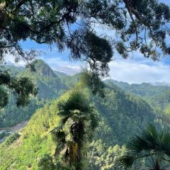 白水洋阿平土菜馆 User Photo