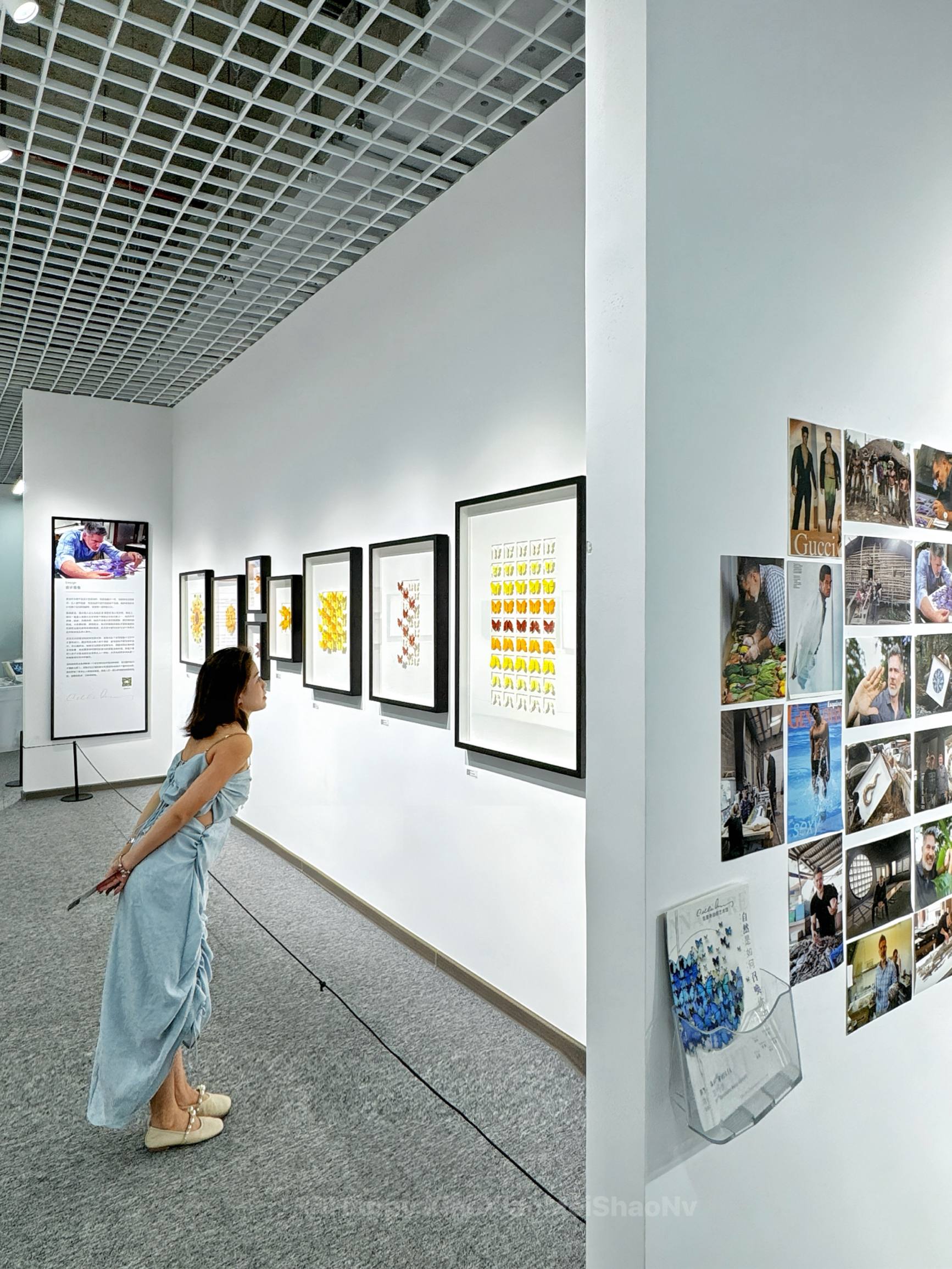 Biological Rebirth: Chris's Natural Art Exhibition (Haikou Station) | Haikou