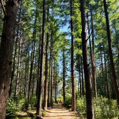 Lake Hill Farm User Photo