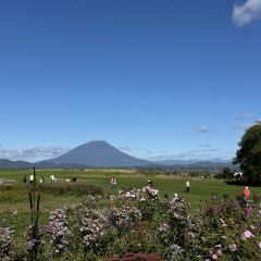 Lake Hill Farm User Photo