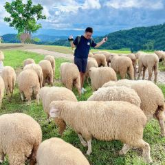 Akha FarmVille User Photo