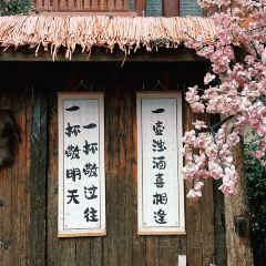A XIAN SUAN JI ZHAO ảnh của người dùng