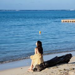 Ohas cafe (Kensington) User Photo