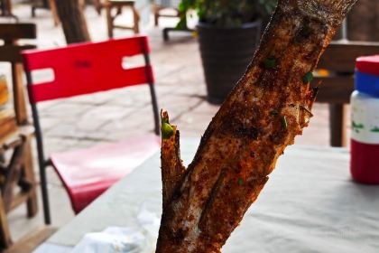 超妹兒銅火鍋(正義路店)