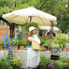 24H color咖啡廳張用戶圖片