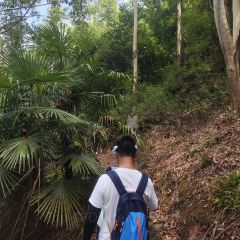 山涧别院 User Photo