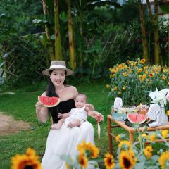 介个院子·草坪团建·围炉冰粉 User Photo