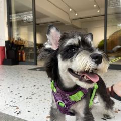 无隐民宿·奇思妙想营 User Photo