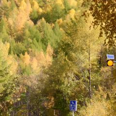 额尔古纳奇乾乡二黑农家院 User Photo