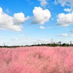 杜家土菜馆(长兴店) User Photo