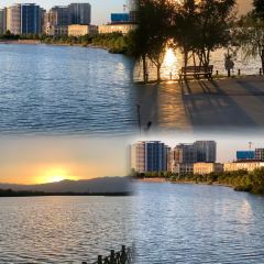 老马家羊杂碎店 User Photo