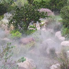 枇杷熟了coffee User Photo