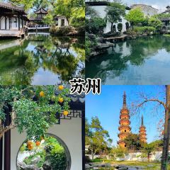 Seaview Chinese Restaurant User Photo