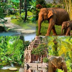 曼回索玉旺罕傣家乐 User Photo