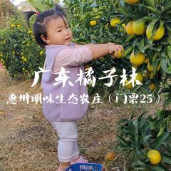 明味生態農莊張用戶圖片