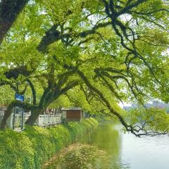 吴进平小食店 User Photo