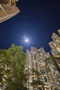 QingfengxulaiHZ 新濠天地-澳門頤居優惠