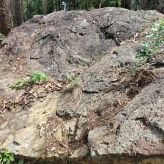 顶三峰餐厅(靖河路店) User Photo