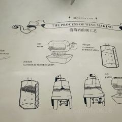 Runaway Cow Canton 8 User Photo