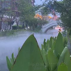 眉州东坡(东坡印象水街店) User Photo