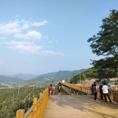 高老庄渔村 User Photo