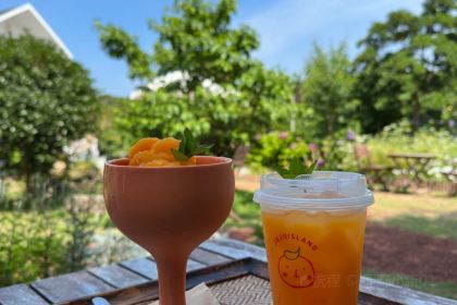 Bhc Chicken Beer Plate