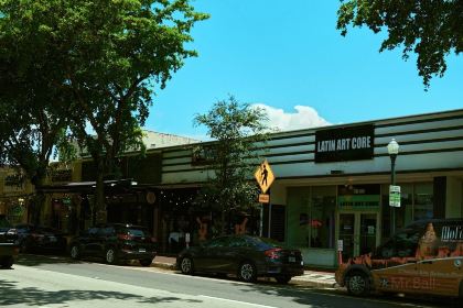 Azucar Ice Cream - Little Havana