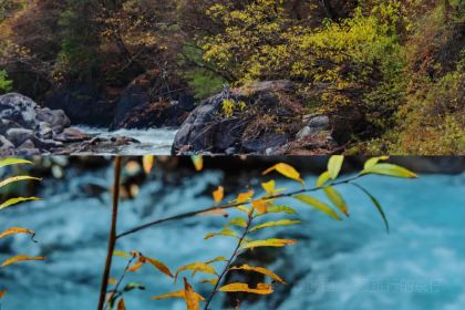 绵虒老陈记豆腐庄