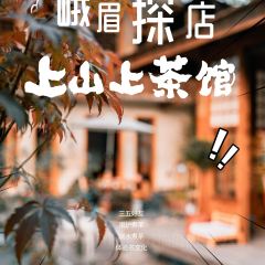 上山上茶馆 User Photo