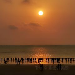Maojichaoshanhaixianshaguozhou (zong) User Photo