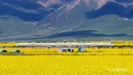 Yuanshan Observation Deck