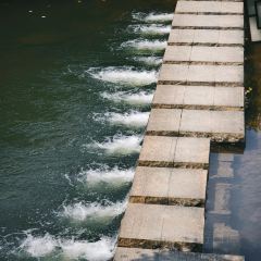 泉記燒鵝張用戶圖片