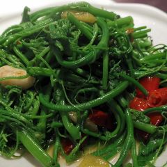 邛海打魚匠張用戶圖片